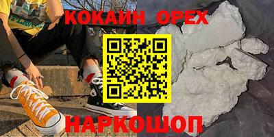 прущие грибы Кохма