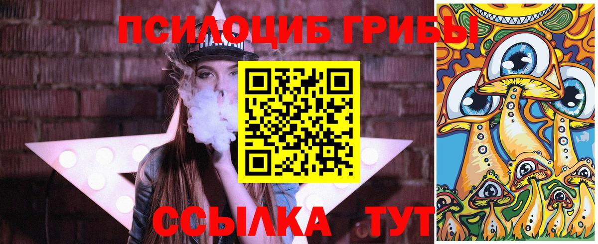 Галлюциногенные грибы прущие грибы Губкинский